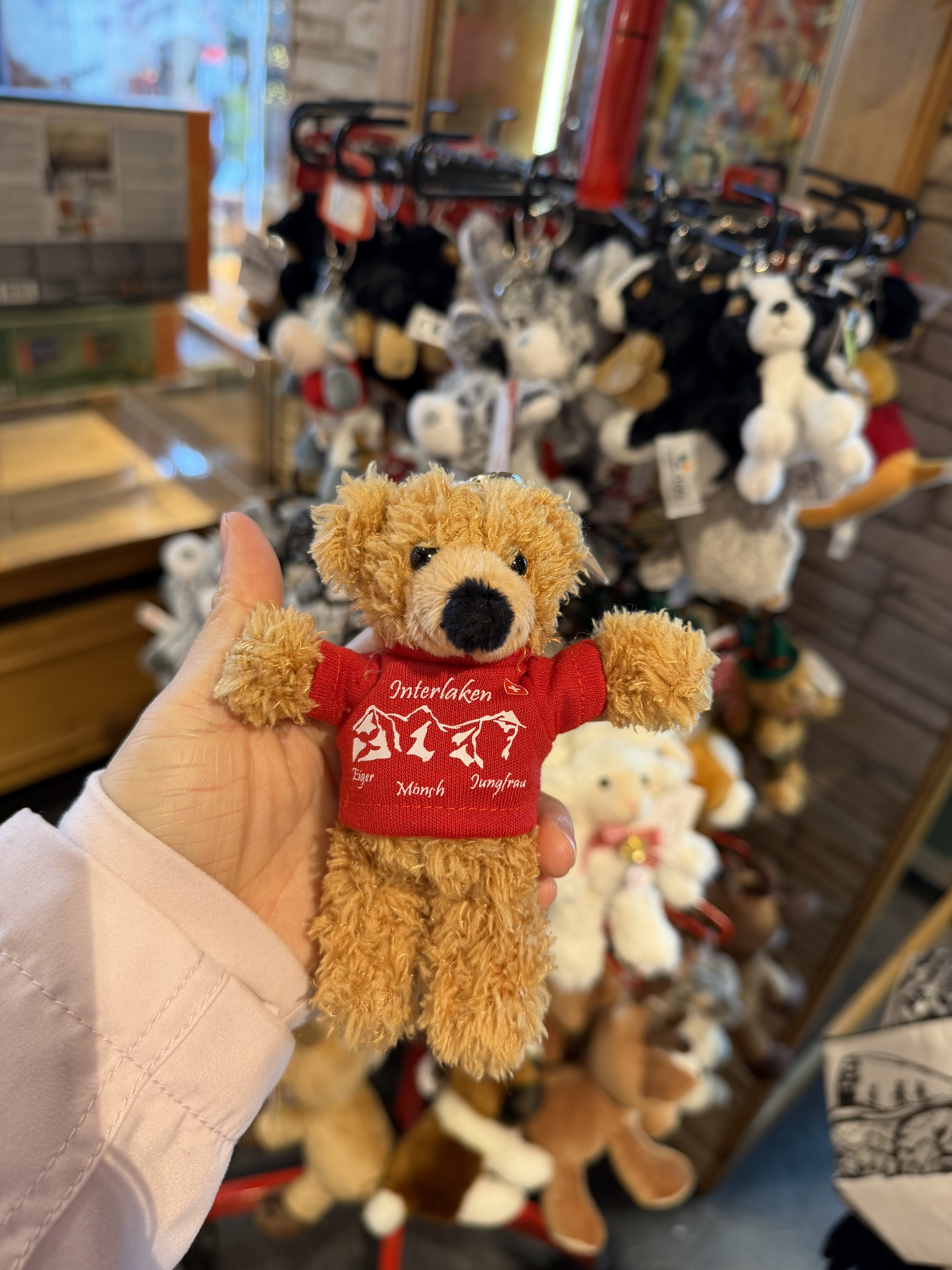 旅の写真